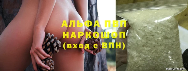 винт Алзамай